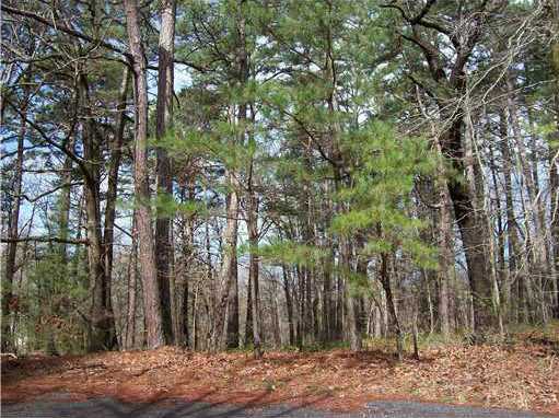 LOT 3 COTHERSTONE LN, Bella Vista, AR 72715 
