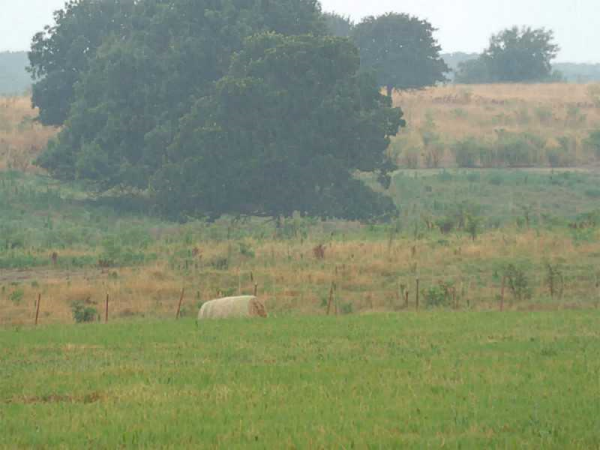 000000 VAUGHN RD, Decatur, AR 72722 