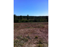 17731 HUBBARD RD, Decatur, AR 72722 