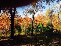 11926-38 PLANK RD, Rogers, AR 72756 