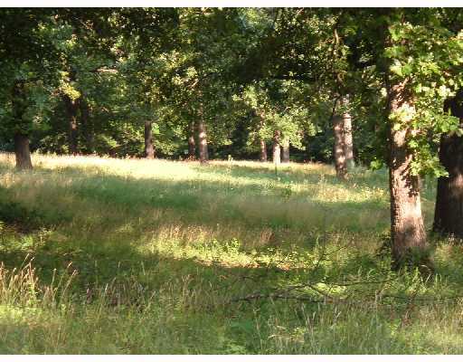 -- IRONWOOD, LOT 7 CT, Rogers, AR 72756 