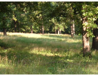 -- IRONWOOD, LOT 7 CT, Rogers, AR 72756 