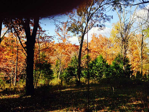 11926 PLANK RD, Rogers, AR 72756 