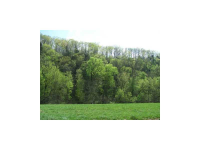 LOT 5 CANE ISLAND RD, Flippin, AR 72634 