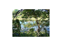 LOT 32 CANE ISLAND RD, Flippin, AR 72634 