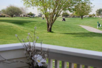 El Mirage Golf Resort,11201 N. El Mirage Rd., El Mirage, AZ 85335 