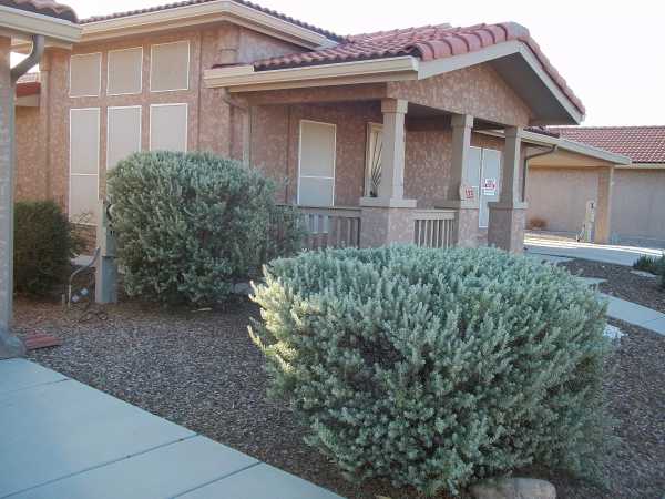 7373 E. Highway 60, #125, Gold Canyon, AZ 85218 
