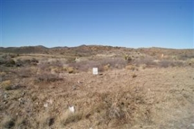 1305 W WELDON AVE, PHOENIX, AZ 86333 