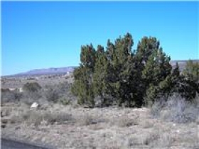PARCEL 305-01-021K, PAULDEN, AZ 86334 