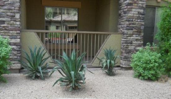 5450 E Deer Valley Drive #1213, Phoenix, AZ 85054 