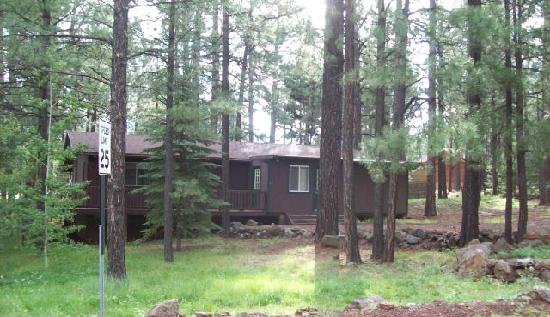2665 Lake View Drive, Pinetop, AZ 85935 