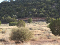 Lot, Taylor, AZ 85939 