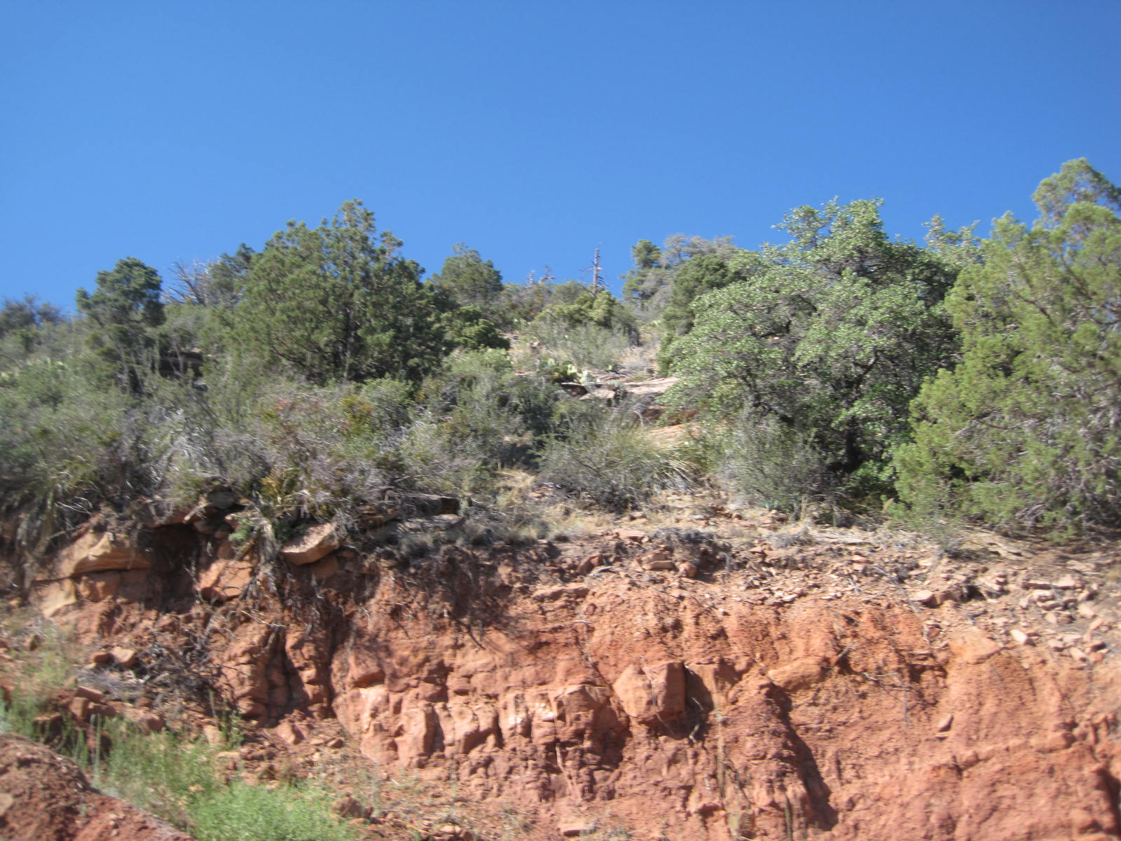 77 Tomahawk, Strawberry, AZ 85544 