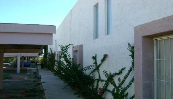 2247 West Wagon Wheel Drive, Phoenix, AZ 85021 