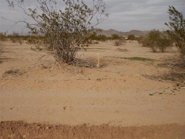 Apn 51 043003c Papago Road, Maricopa, AZ 85239 