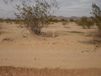 Apn 51 043003c Papago Road, Maricopa, AZ 85239 