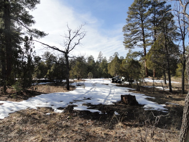 Apn403 130245 Timber Ridge, Happy Jack, AZ 86024 