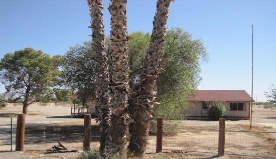 50941 West Deer Run Road, Maricopa, AZ 85239 