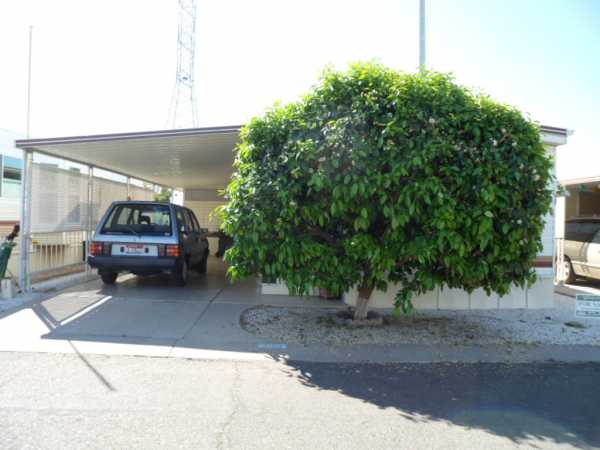 8700 E. University Drive, #2223, Mesa, AZ 85207 