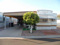 8700 E. University Drive, #1317, Mesa, AZ 85207 