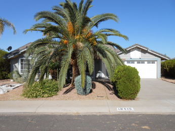 18416 N 56th Drive, Glendale, AZ 85308 