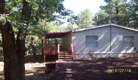 3574 Petes Retreat Road, Lakeside, AZ 85929 
