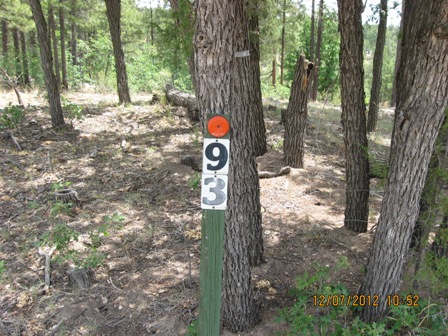 747 Ceremony Ln, Happy Jack, AZ 86024 