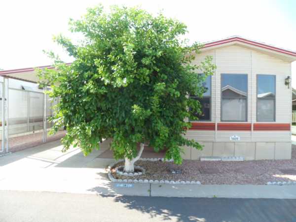 8700 E. University Drive, #1409, Mesa, AZ 85207 