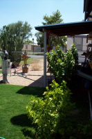 19401 N. 7th St. #256, Phoenix, AZ 85024 