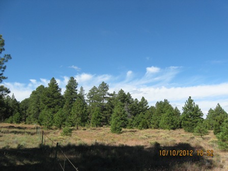 10146 Nash Rd, Williams, AZ 86046 