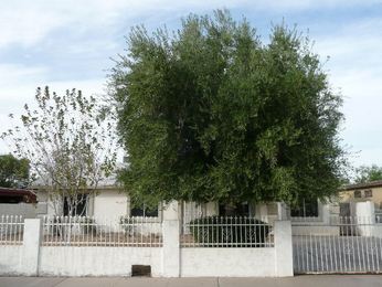 1708 West Carter Road, Phoenix, AZ 85041 