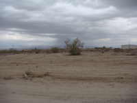 4299 Coronado Rd, Lake Havasu City, AZ 86404 