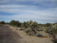 2915 W Shannon View Ct: new address, TUCSON, AZ 85742 