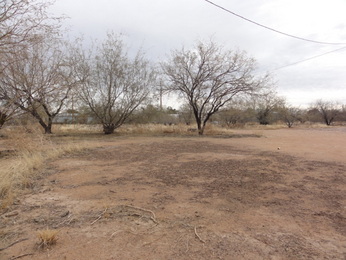 12200 N Blacktail Road, Marana, AZ 85653 