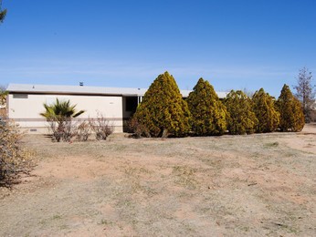 9221 S Fillmore Road, Tucson, AZ 85736 