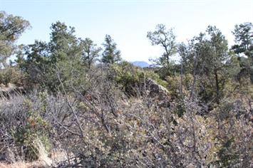 Lot 1c - 180 15300 N. High Lonesome, Prescott, AZ 86305 