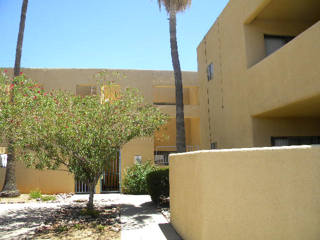 3800 East 2nd Street Unit 209, Tucson, AZ 85716 