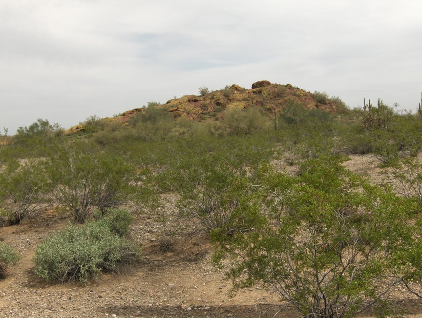 28001 W 146th Ave, Surprise, AZ 85387 