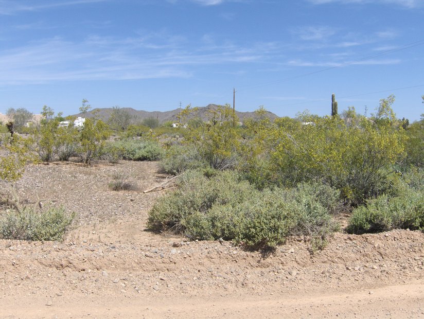 15701 W Morning Vista Dr, Surprise, AZ 85387 