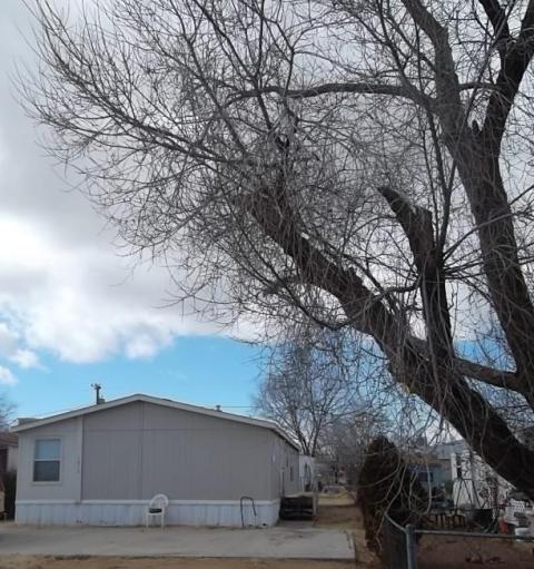 3830 N Robin Dr, Prescott Valley, AZ 86314 