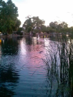 4550 N. Flowing Wells Rd #173, Tucson, AZ 85705 