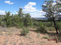 443 N. Ike Clark Parkway, Young, AZ 85554 