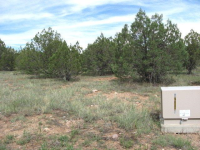 465 S. Homestead Rd., Young, AZ 85554 