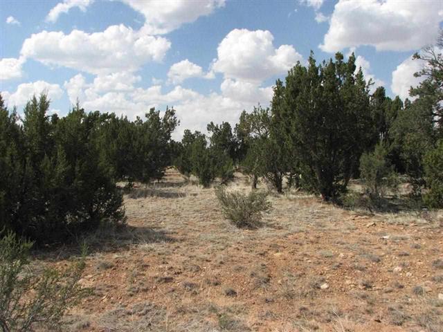 15 SCR 3114, Vernon, AZ 85940 