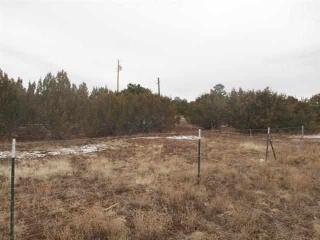 Lot 15 &amp; 16 Apache Trails, Vernon, AZ 85940 