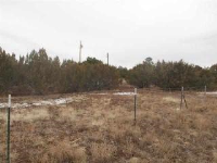 Lot 15 &amp; 16 Apache Trails, Vernon, AZ 85940 