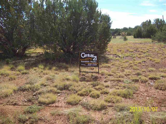 lot 24 Apache Woodland, Vernon, AZ 85940 
