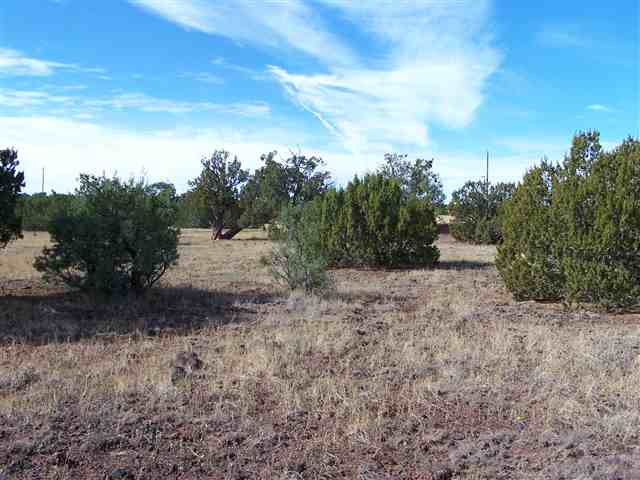 00 portion of 106-55-012E, Vernon, AZ 86040 