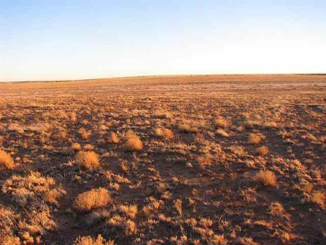 Lot 15 Section 35, Winslow, AZ 86047 