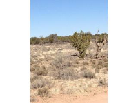 3133 S Antler Drive, Valle, AZ 86046 